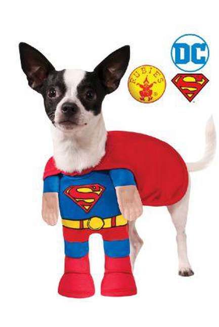 Superman Pet Costume